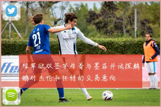 绿军欲双签字母哥与墨菲并试探鹈鹕对杰伦和怀特的交易意向
