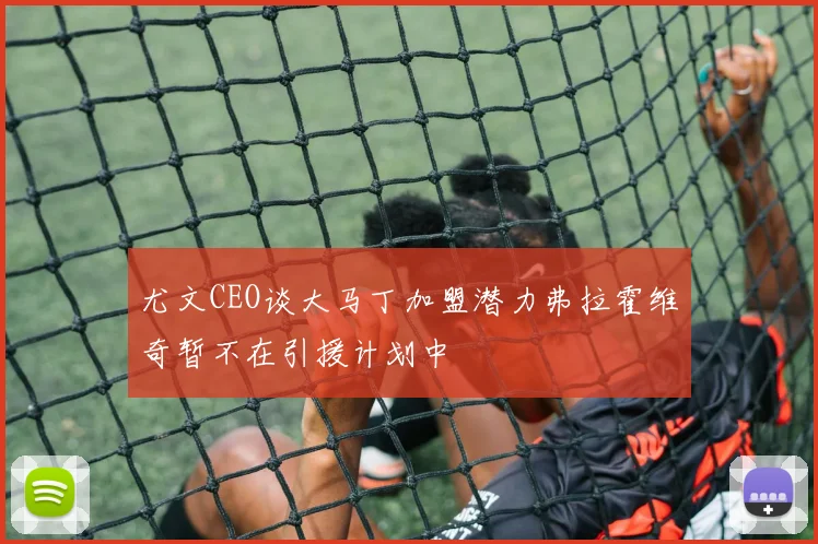 尤文CEO谈大马丁加盟潜力弗拉霍维奇暂不在引援计划中